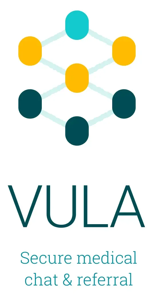 VULA Logo